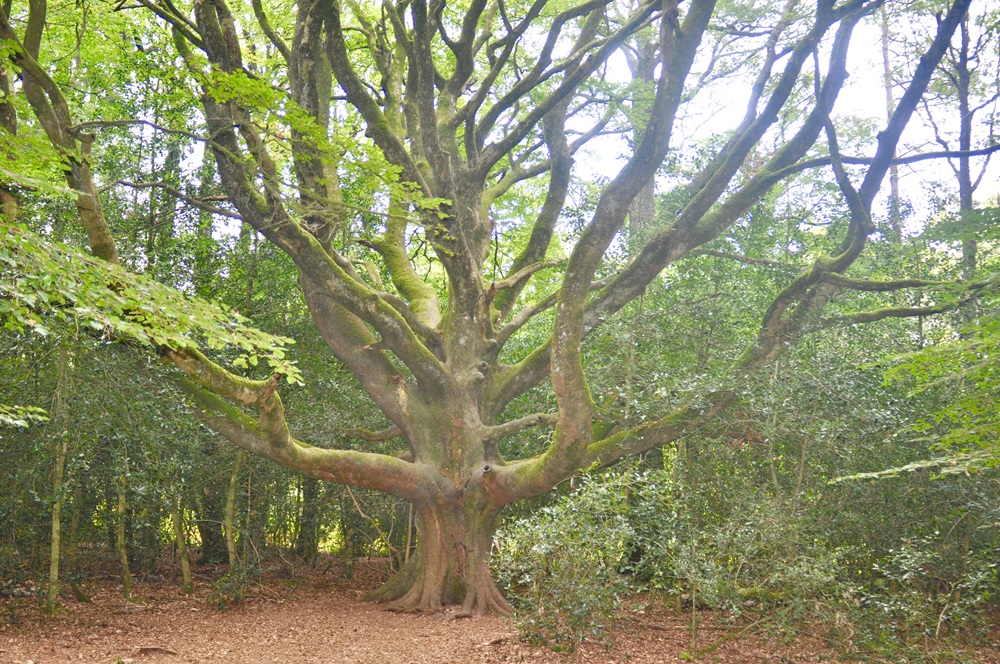 LondonGrip tweet media