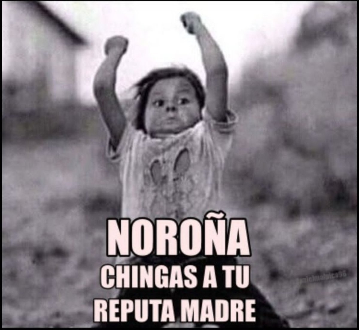 Que se oiga fuerte y claro!!! 😎

Que se haga viral 😁

#ChingaTuMadreNoroña