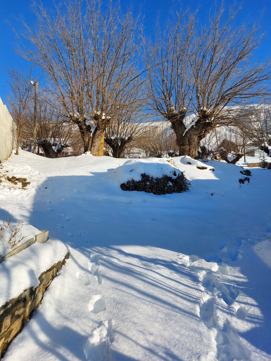 CaroDernegi's tweet photo. Selamunaleyküm CARO Ailesi,

Bugün 03 Ocak 2026 Yılın ilk Caro Görselleri.

Güzel Caro"muza Yılın ilk günlerinde yine gitmek nasip oldu. #Kar yağmış, Her yer çok güzel, Gurbette hasretini çekenlere gelsin!

#CarodaKış #KarlıCaro #Doğa #Manzara #Spor #KimsesizHayvanlarıBesleme https://t.co/2TfmO4VOZj
