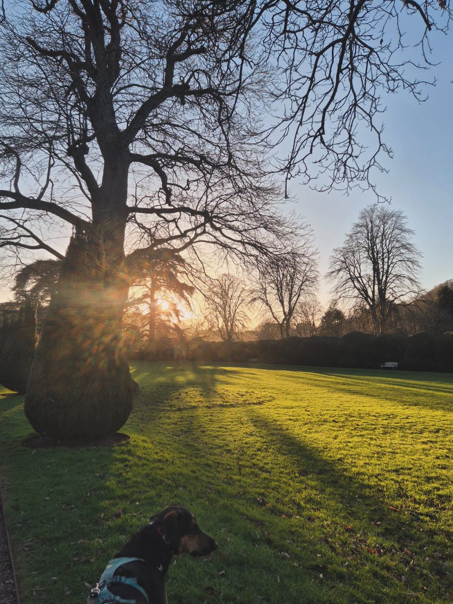 Kate ✨️ tweet media