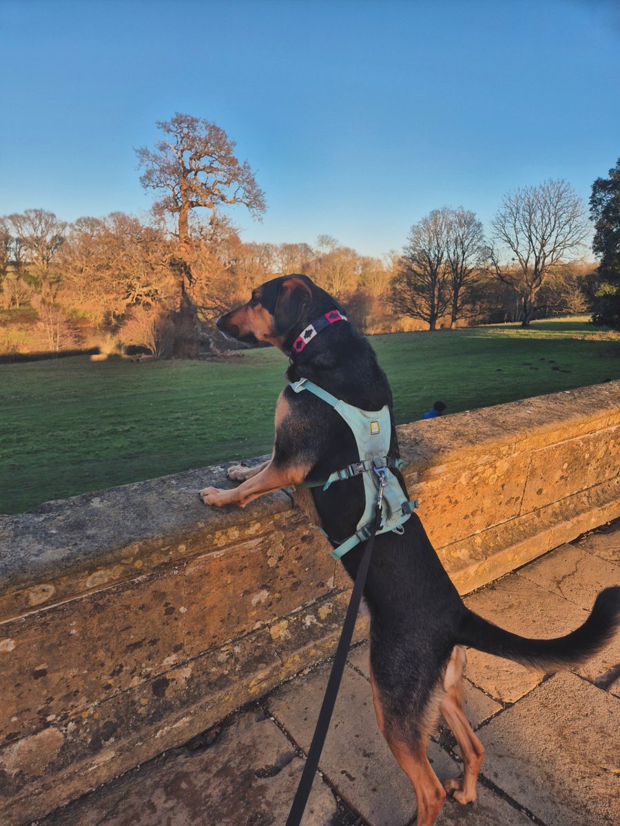 Kate ✨️ tweet media