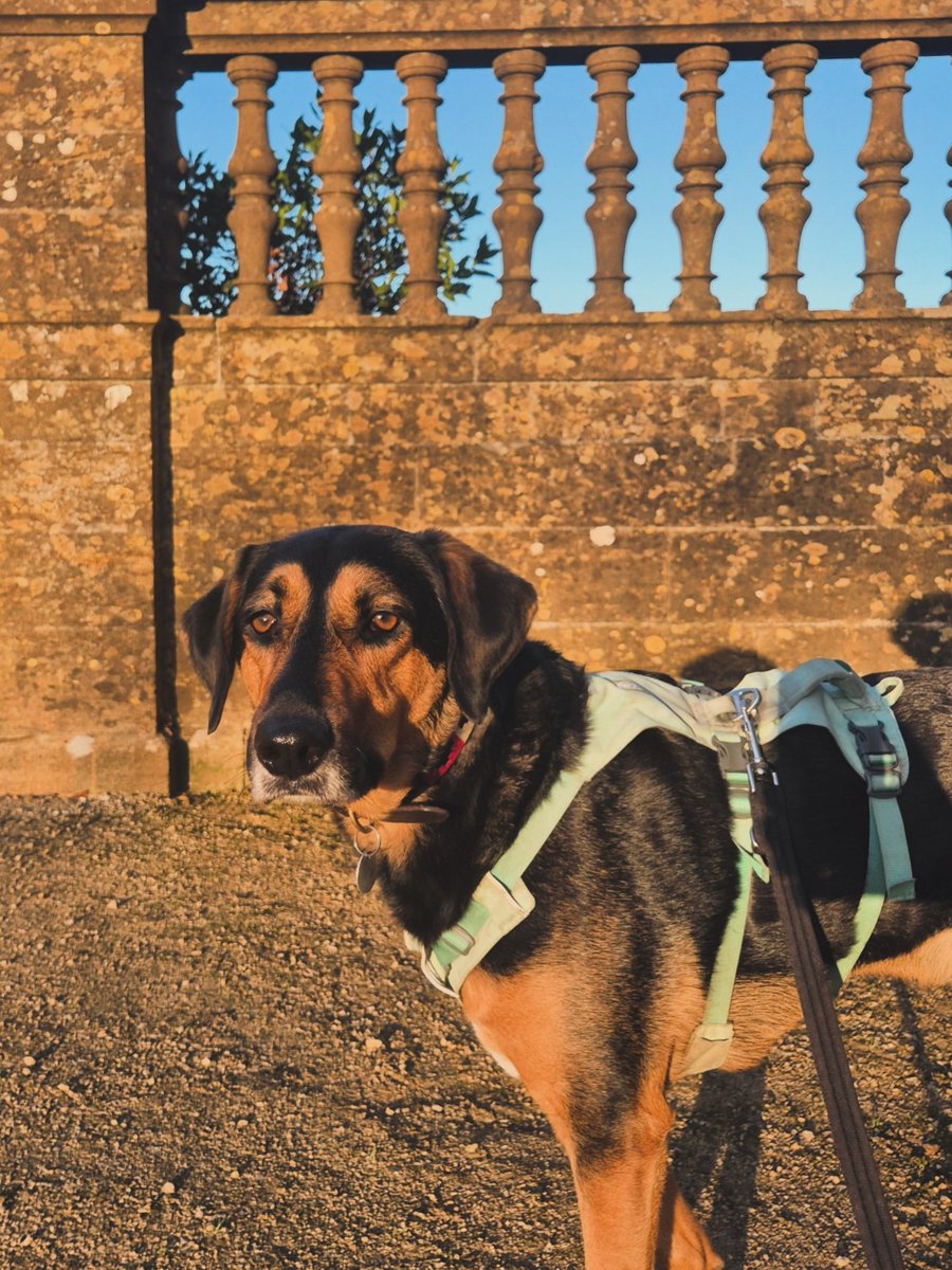 Kate ✨️ tweet media