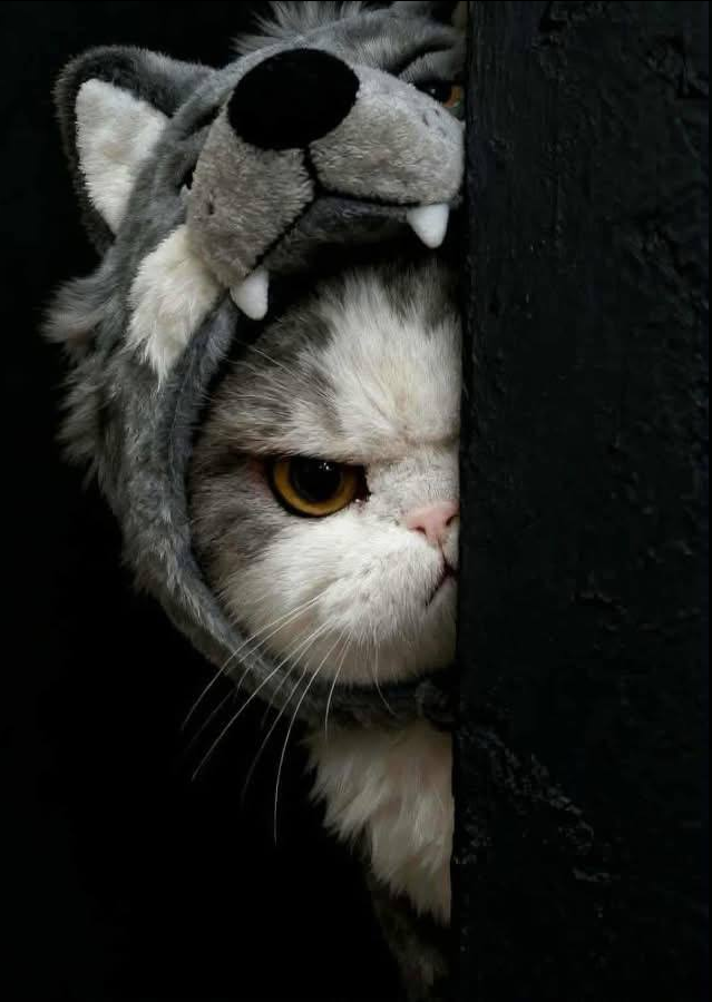 А что это вы тут кушаете?