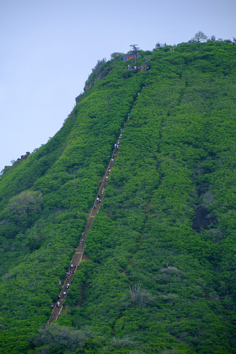 Syed Z. Ali tweet media