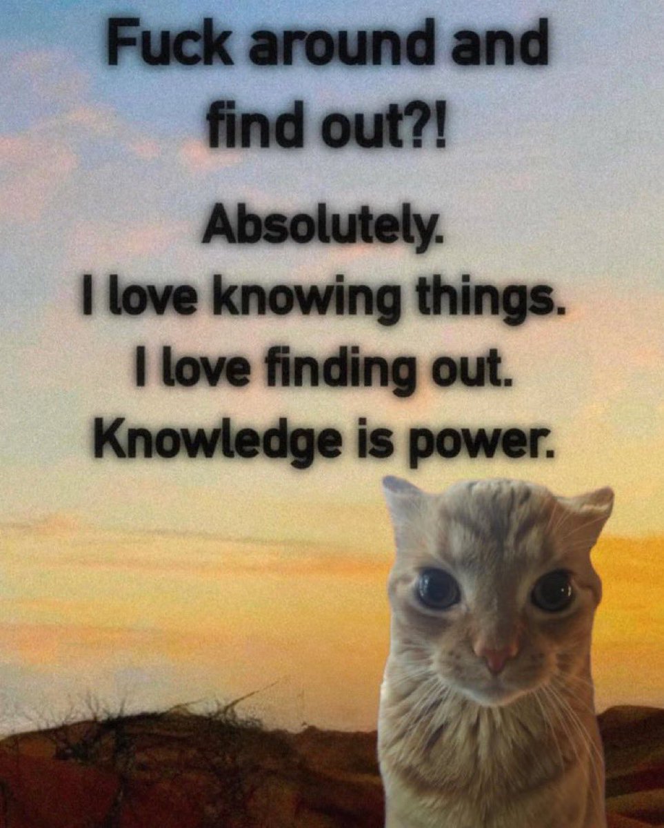 gakstercat's tweet image. 