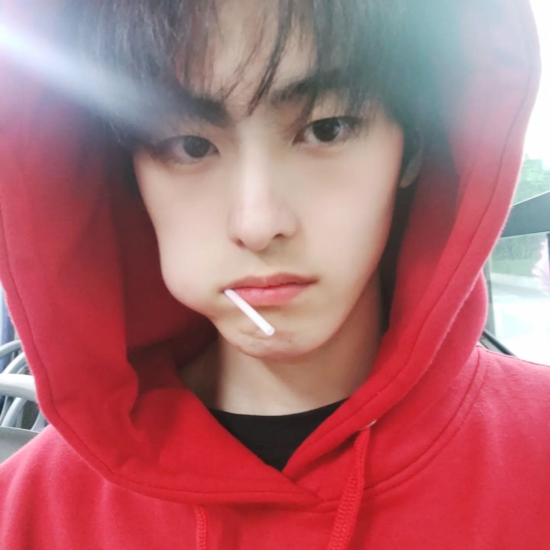 X(구 트위터) 게시물 이미지