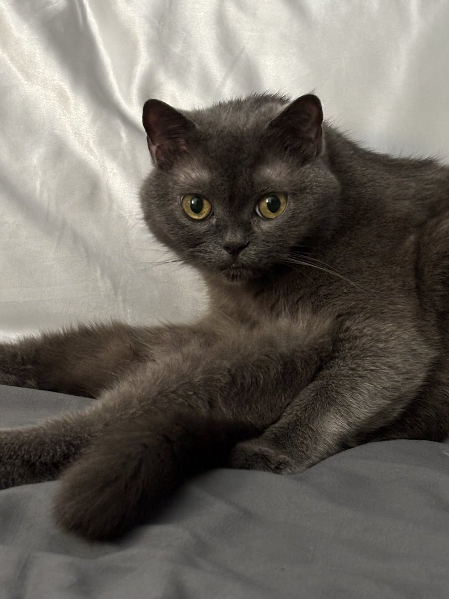 love that you sit like that queen