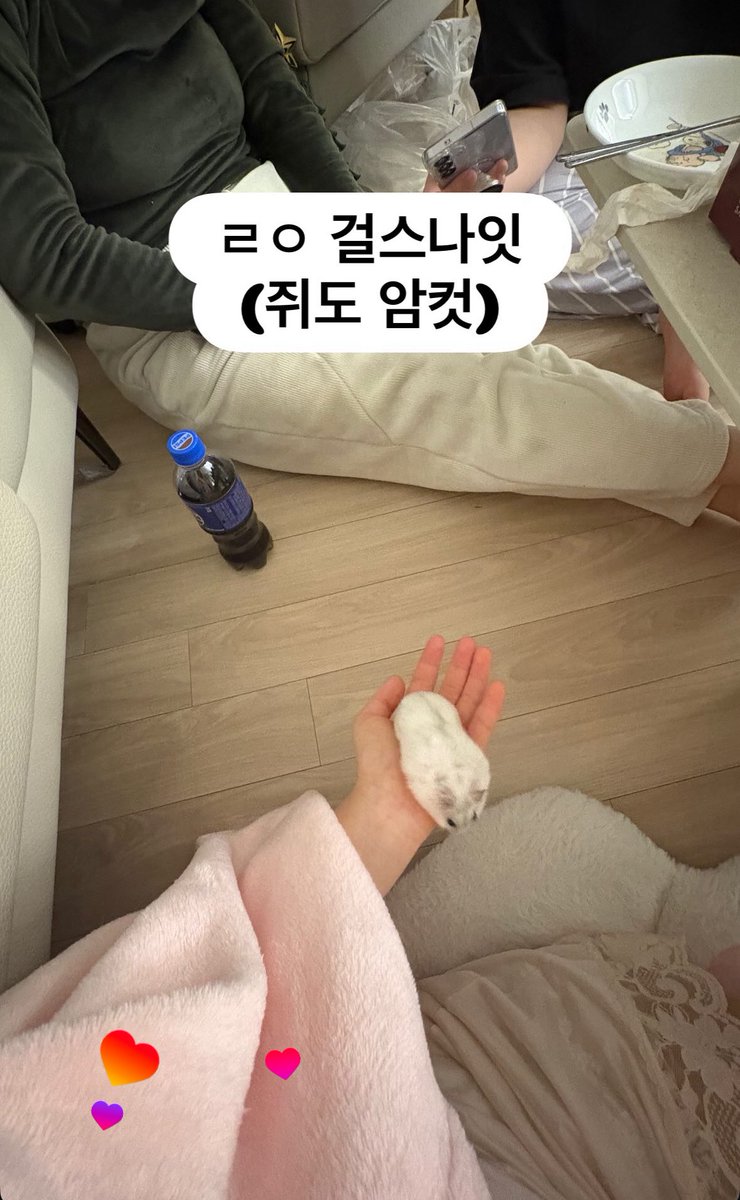 그래서 나도 우리집햄스터 맨날 쥐라고 불름