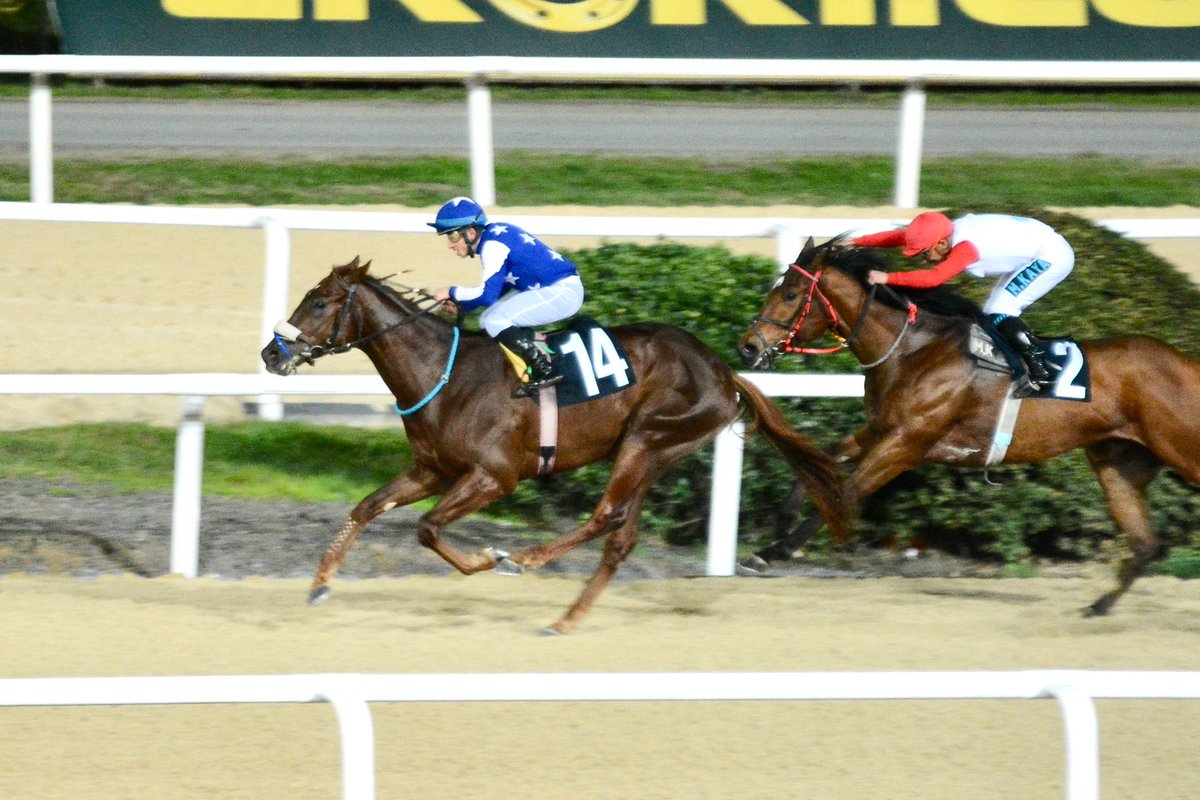 Sana olan inancımız hiç bitmedi. Bugünlerin geleceğini biliyorduk şükür. Hakkını verdin evlat🧿🙏🏻. Emeği geçen bütün ekibimizin ve jokeyimizin eline sağlık. <a href="/CaferAkbulut34/">Cafer Akbulut</a> <a href="/bedriakbulut21/">Bedri Akbulut</a>  <a href="/zaferbey21/">Zafer</a> Atımızı yetiştiren <a href="/KelesEkurisi/">KELEŞ EKÜRİSİ</a> ayrıca teşekkür ederiz.