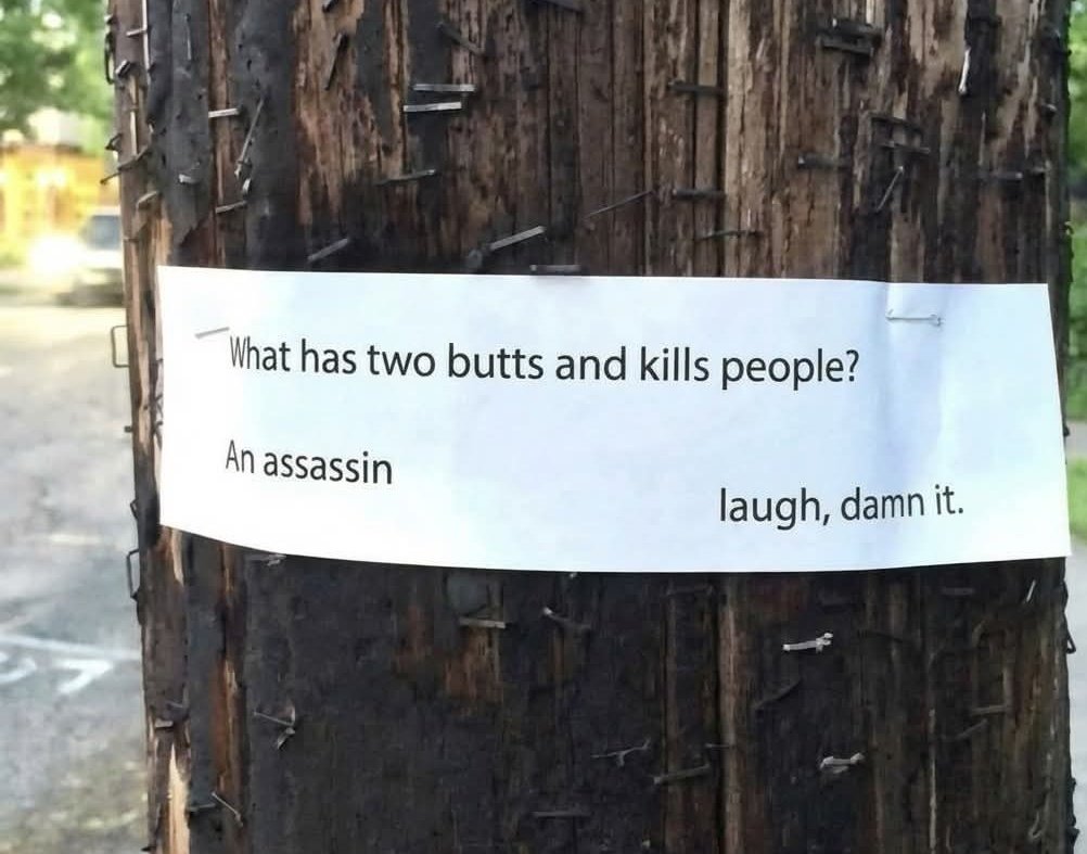 LouieKerr8's tweet image. 😂