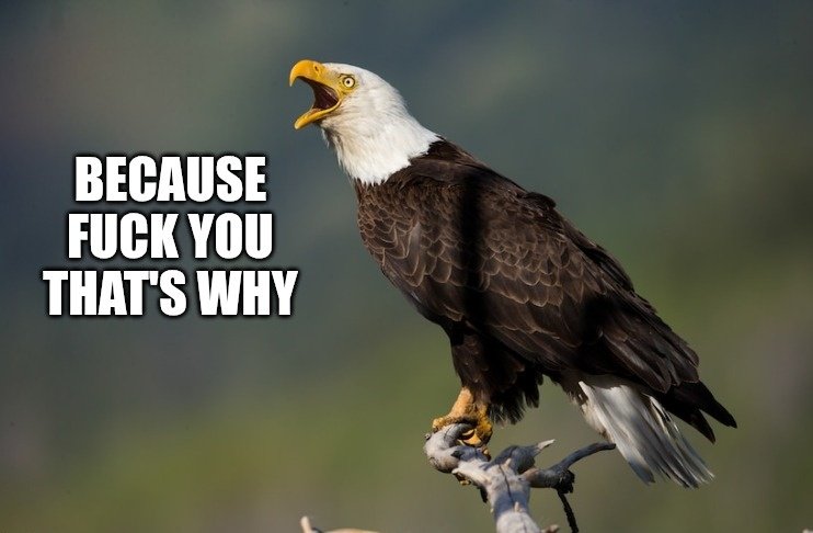 Chesty (@chestypullergst) on Twitter photo 