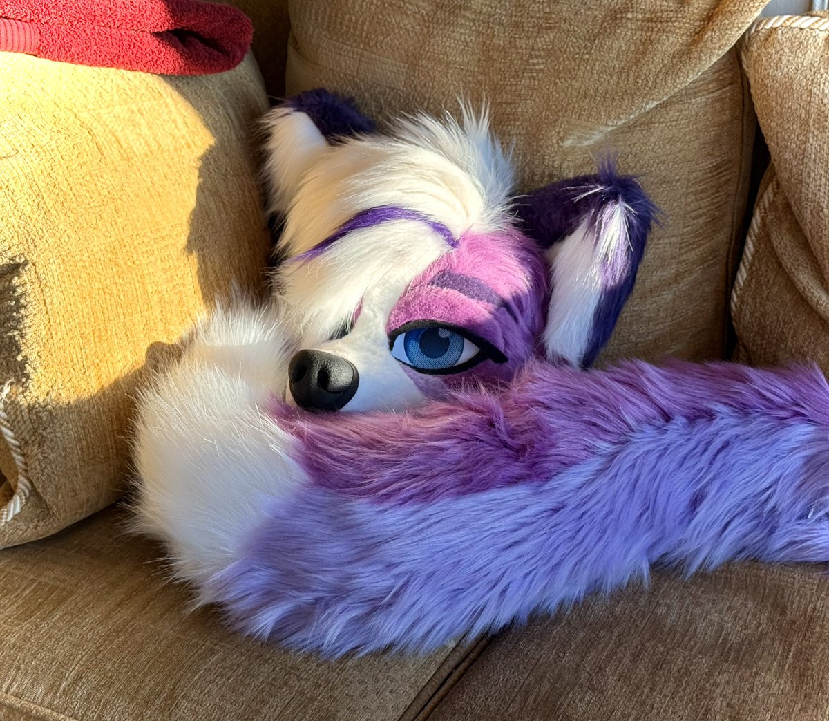 Koko 🐾 | 🔜 FWA, MP tweet media