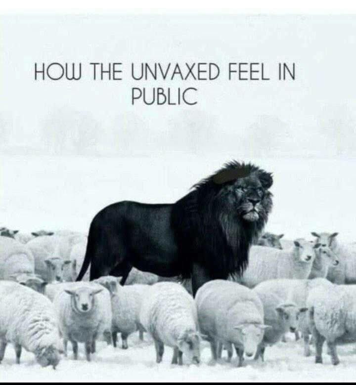 Who felt this way in years back!