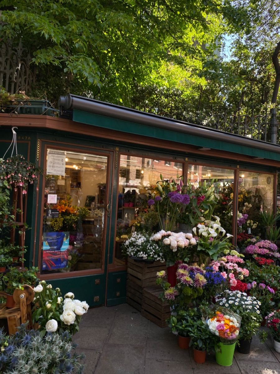 1leio's tweet image. 