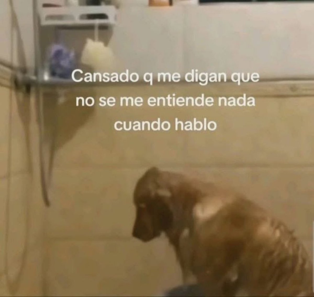 perdón por no saber vocalizar bn