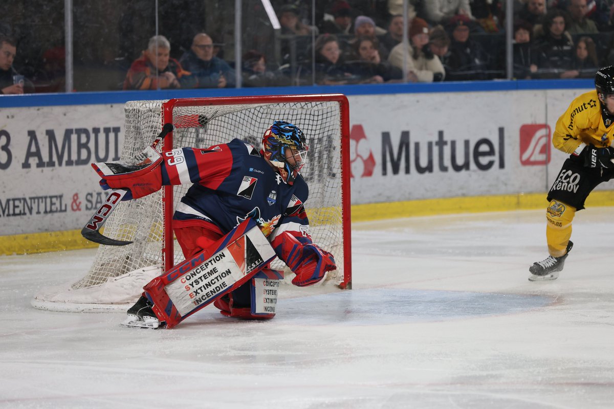 Brûleurs De Loups tweet media