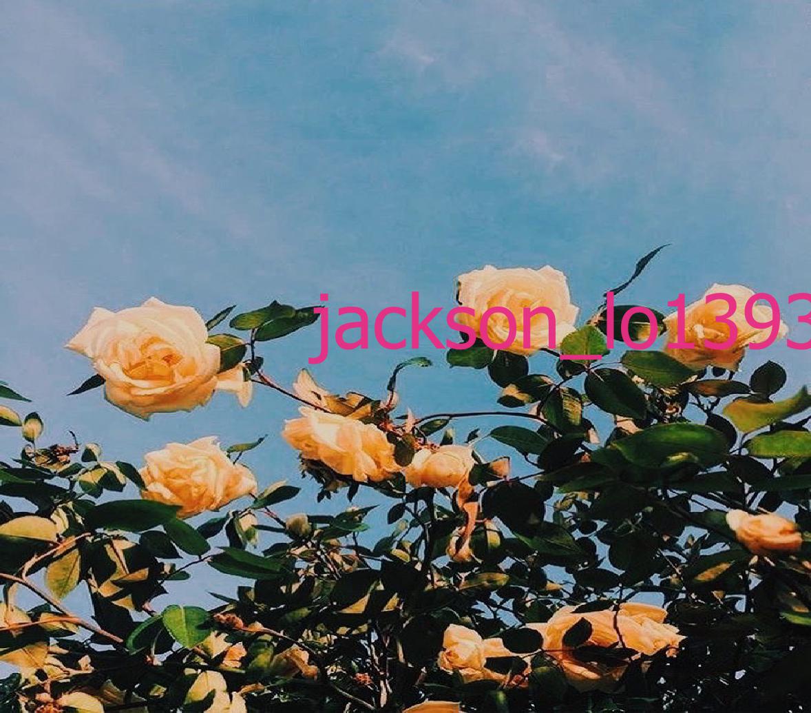 Logan Jackson tweet media