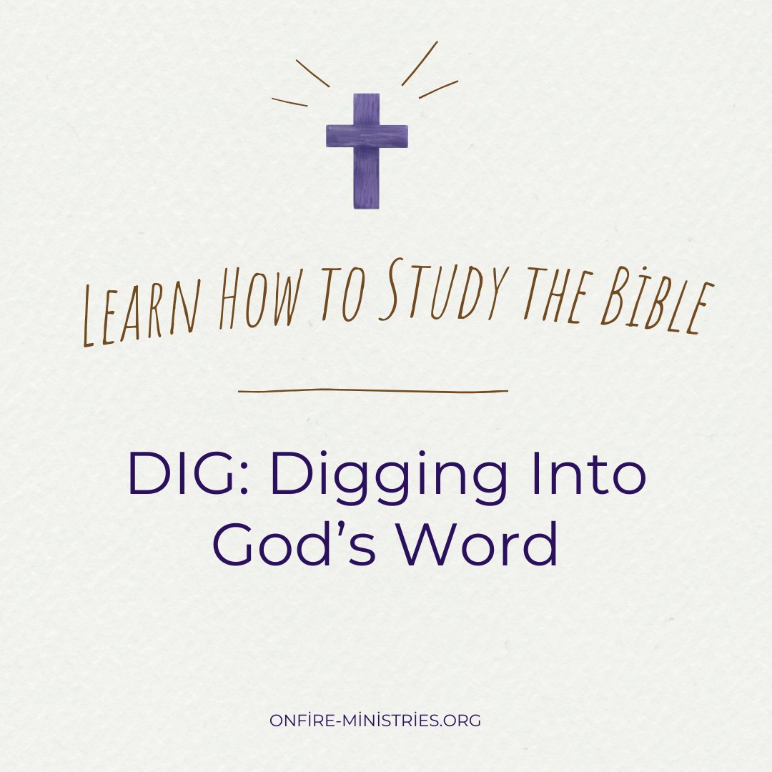 PatDomangueOFM's tweet image. DIG: Digging Into God’s Word is a 6-week Bible study for women who want to understand Scripture without feeling overwhelmed. Practical tools and guidance to study with confidence and apply God’s Word to everyday life.

#DIGBibleStudy #HowToStudyTheBible #BibleStudyForWomen