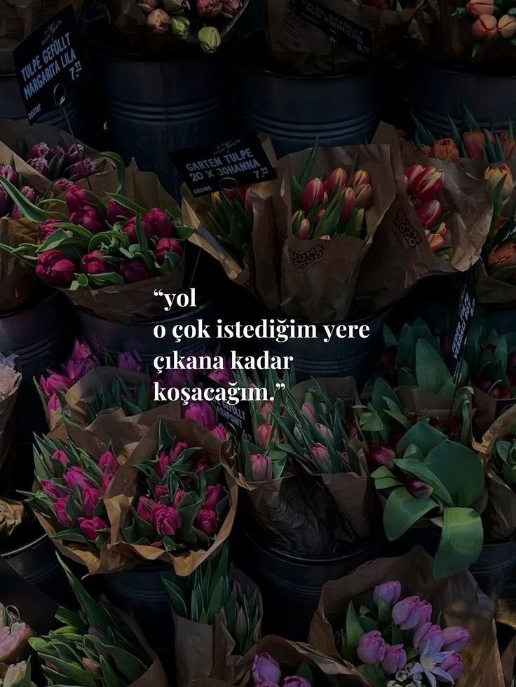 , (@hepuzdun) on Twitter photo 