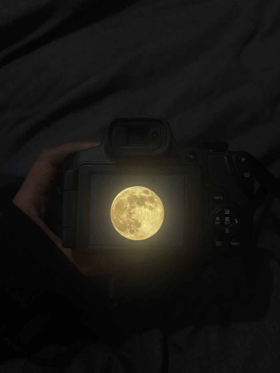 yvsmin_'s tweet image. wolf moon pics incoming