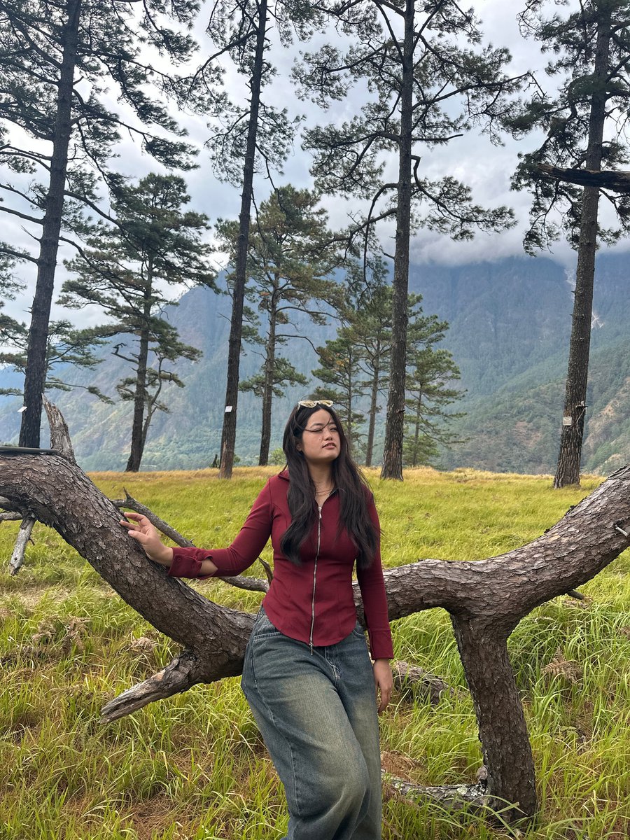 Techi Meena26 tweet media