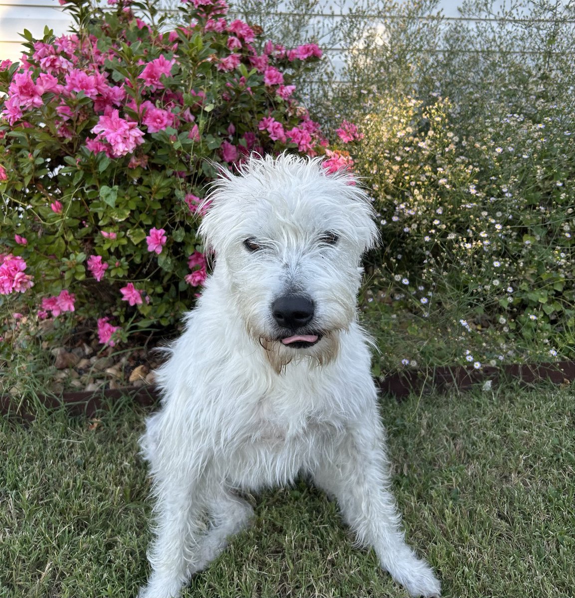 MSmudrat's tweet image. Cazz