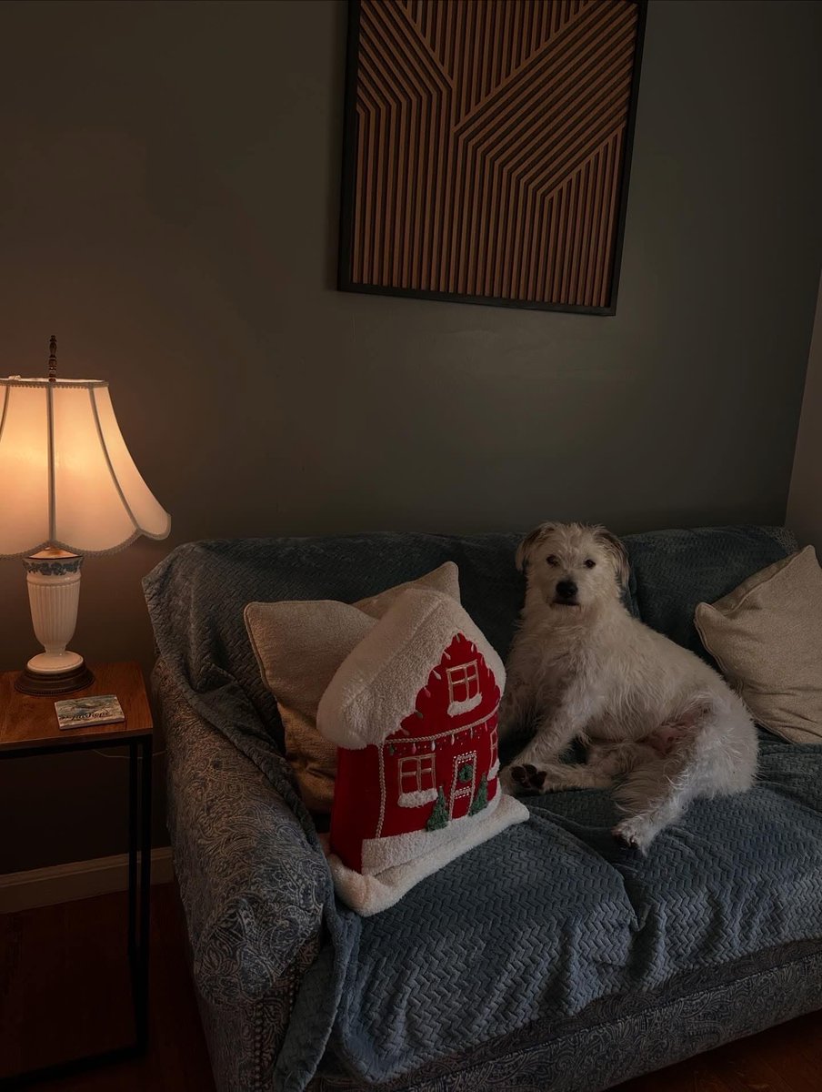 MSmudrat's tweet image. Cazz