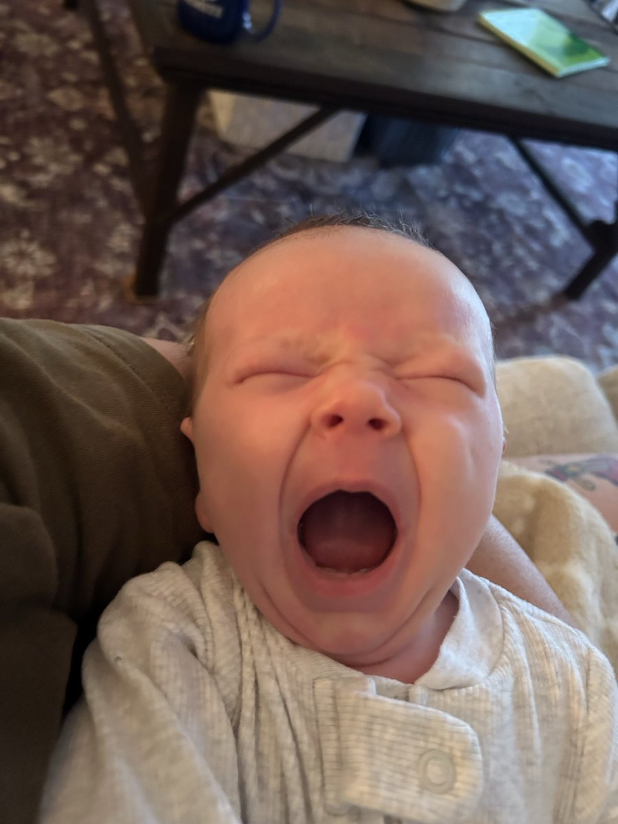 MSmudrat's tweet image. Titus