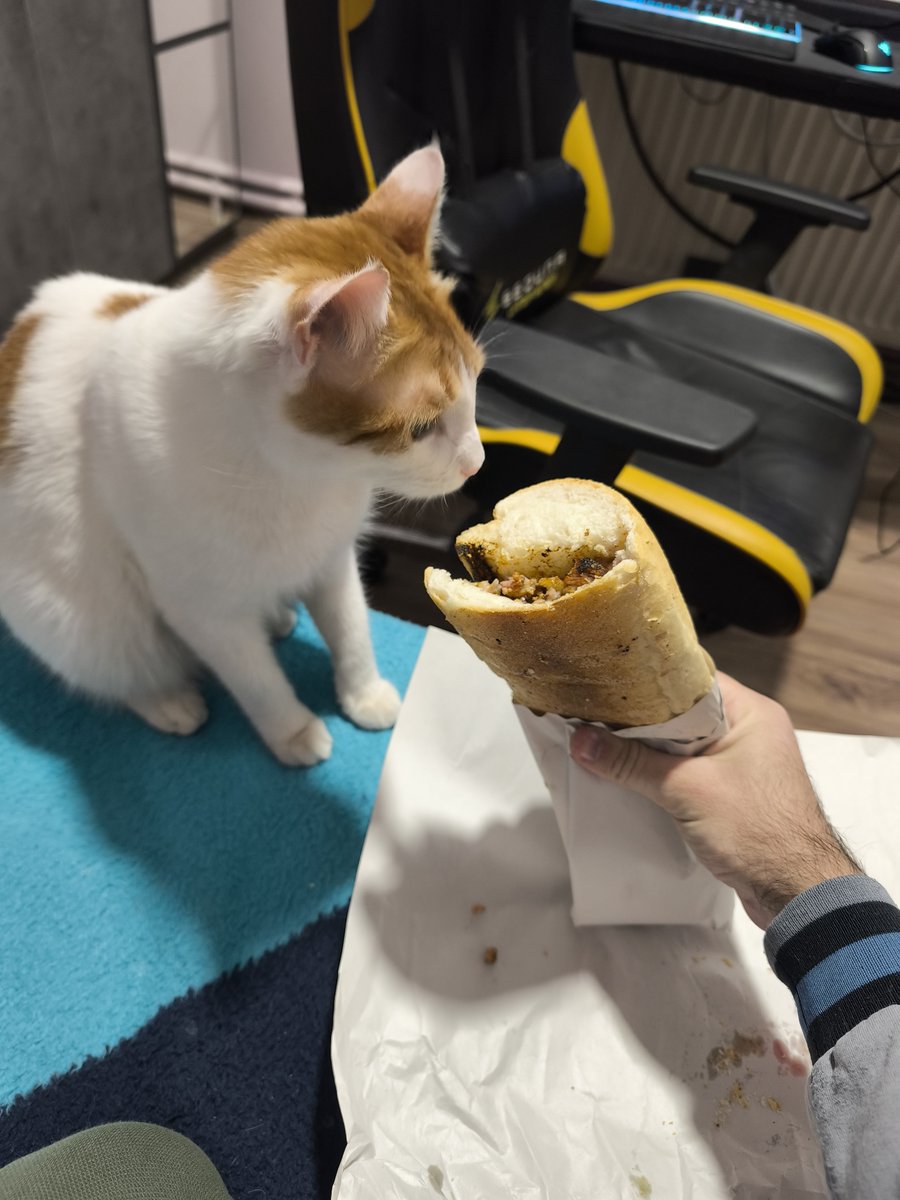 En iyi kokoreçi İzmirli kediler yer 😁