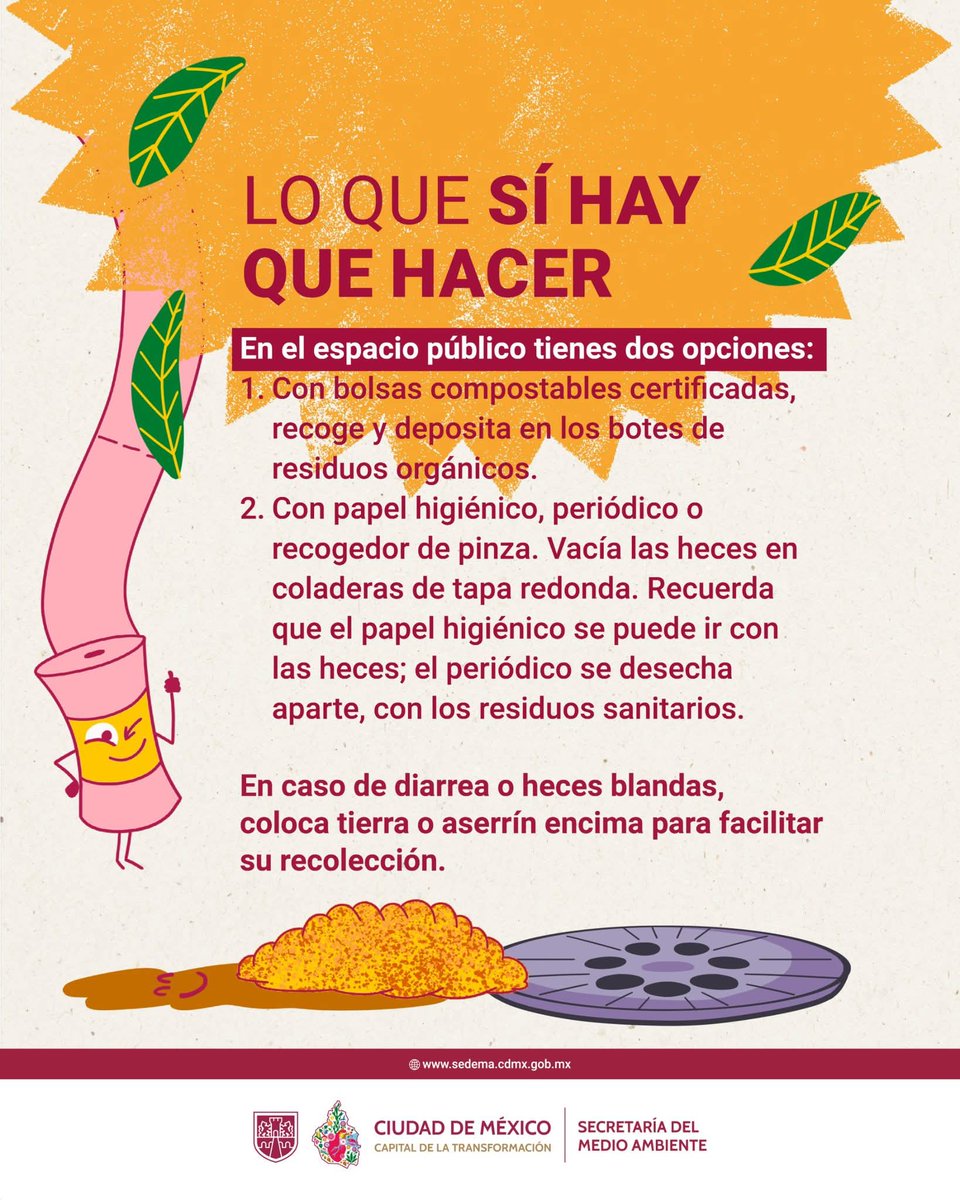 SEDEMA_CDMX's tweet image. 