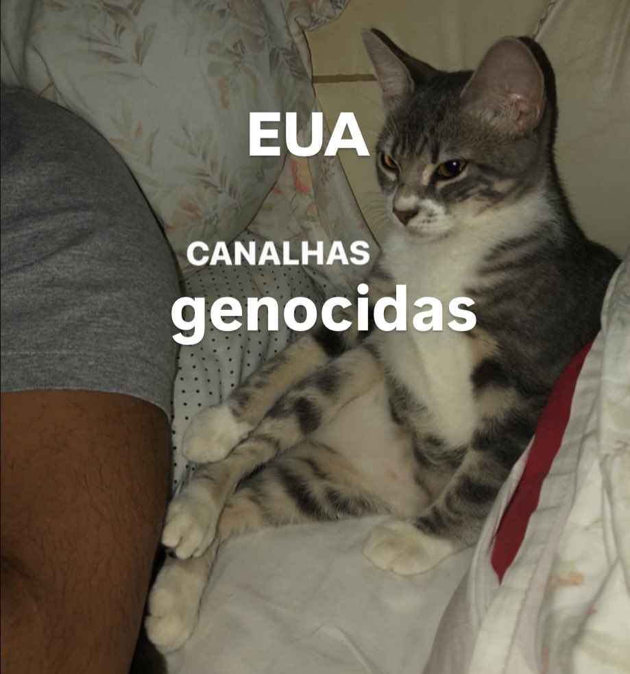 bjodaglai's tweet image. assim o dia todo assim