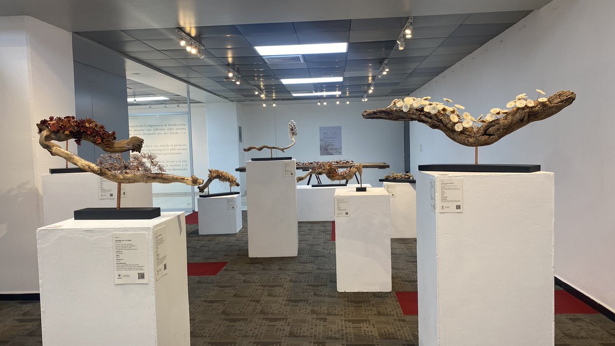 nm94503's tweet image. SAL