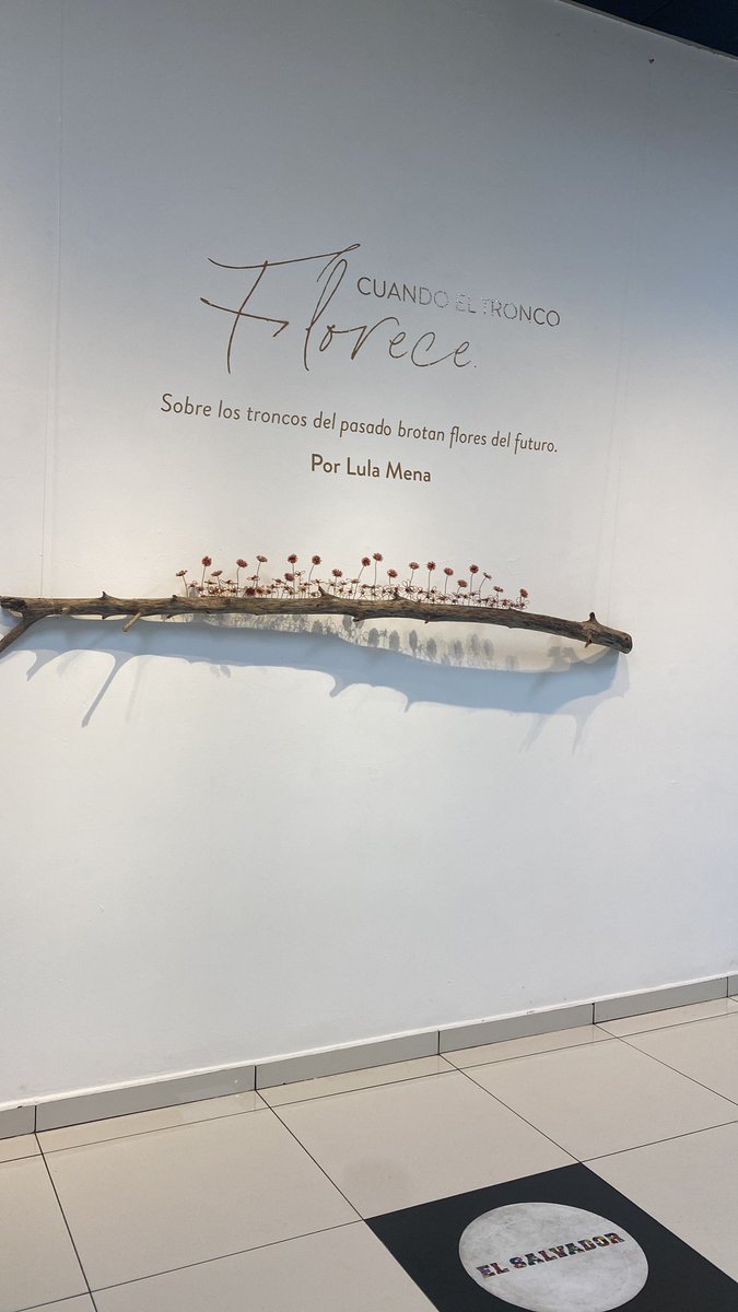 nm94503's tweet image. SAL