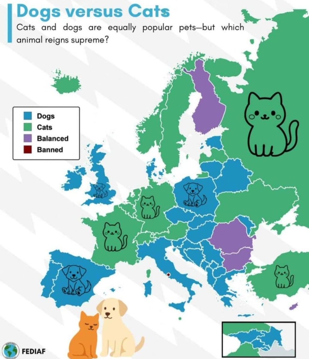 А у вас кто - собачка или кошечка? Вы подходите под статистику?