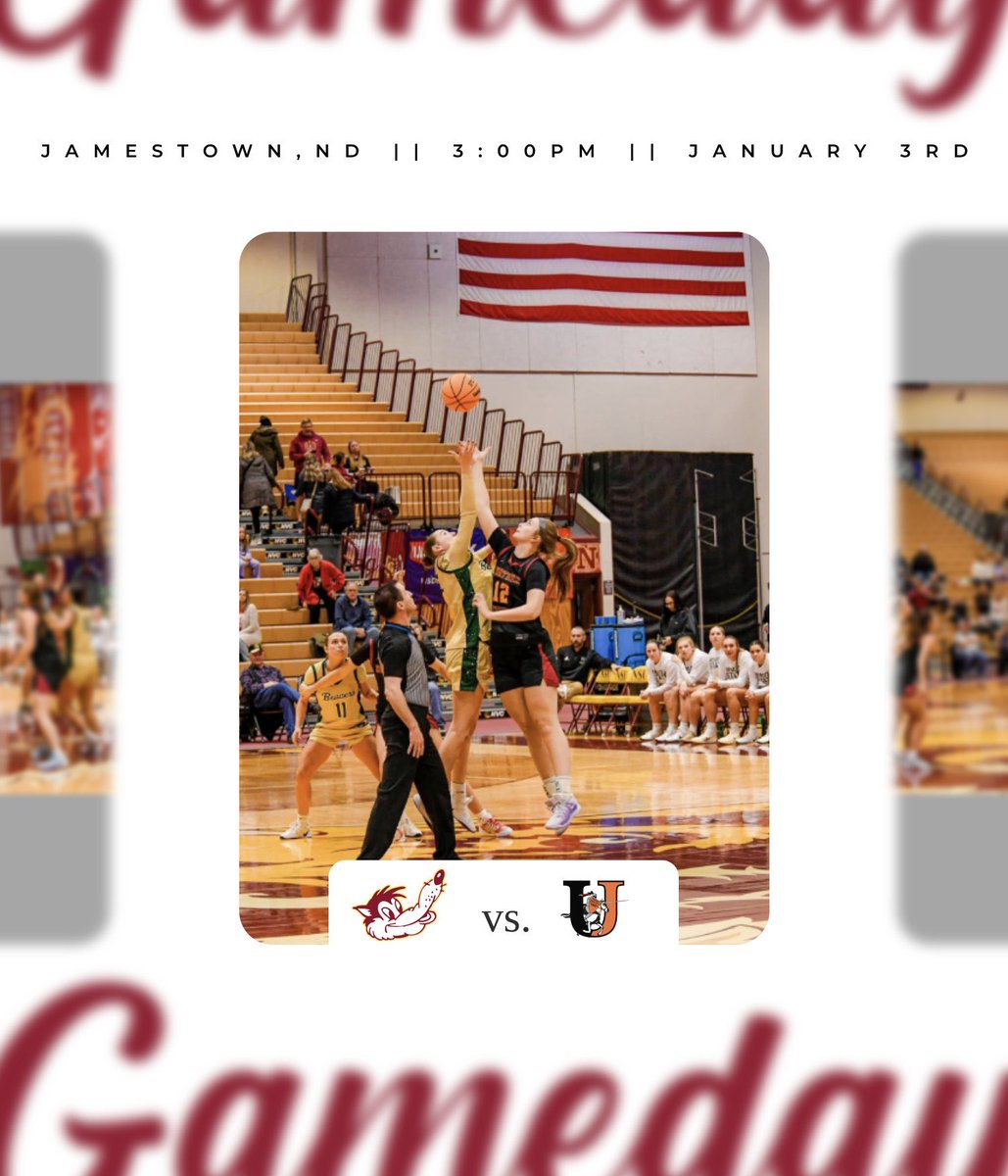 nsuwolves_wbb's tweet image. It’s GAMEDAY🤟🐺

@nsuwolves_wbb 🆚 Jamestown

⏰ 3:00 PM
📍Jamestown, ND

📺📊nsicnetwork.com/nsuwolves/

#GoWolves🐺 | #maroonNgold🐾