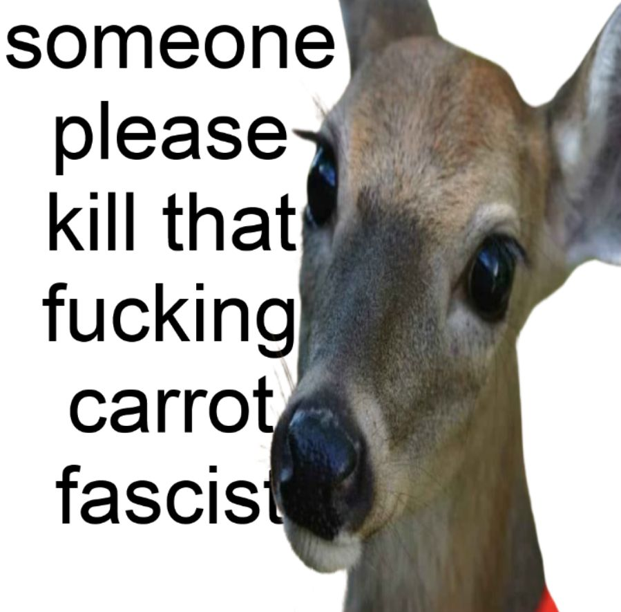 withmydoes's tweet image. 