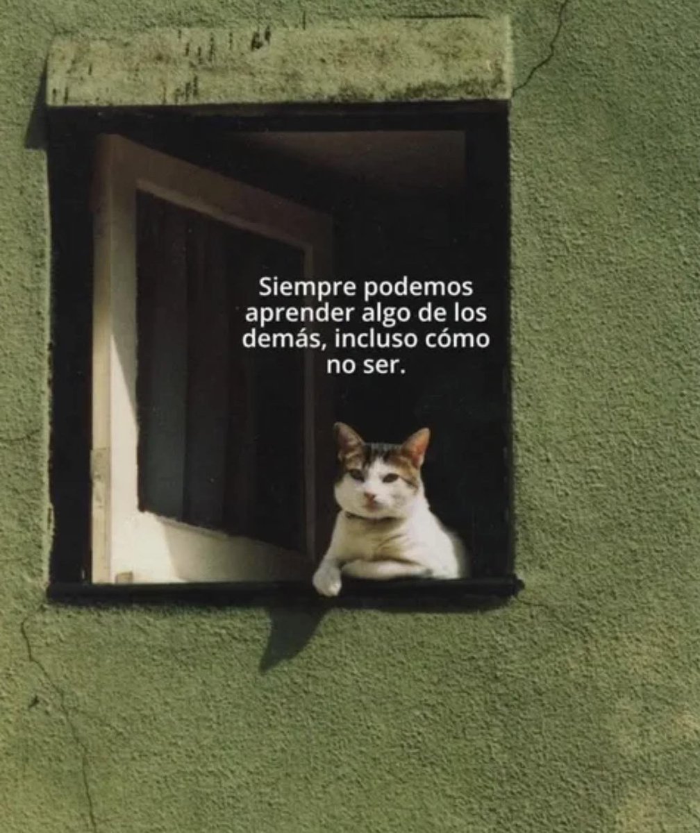 BANDIDOS (@bandidosfrasess) on Twitter photo 