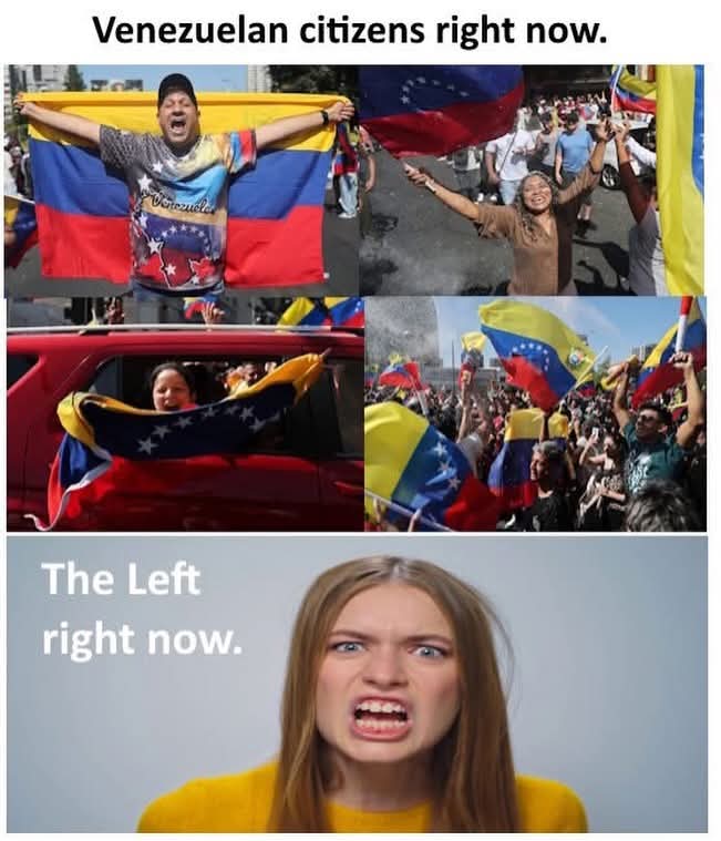 Rapid Now tweet media