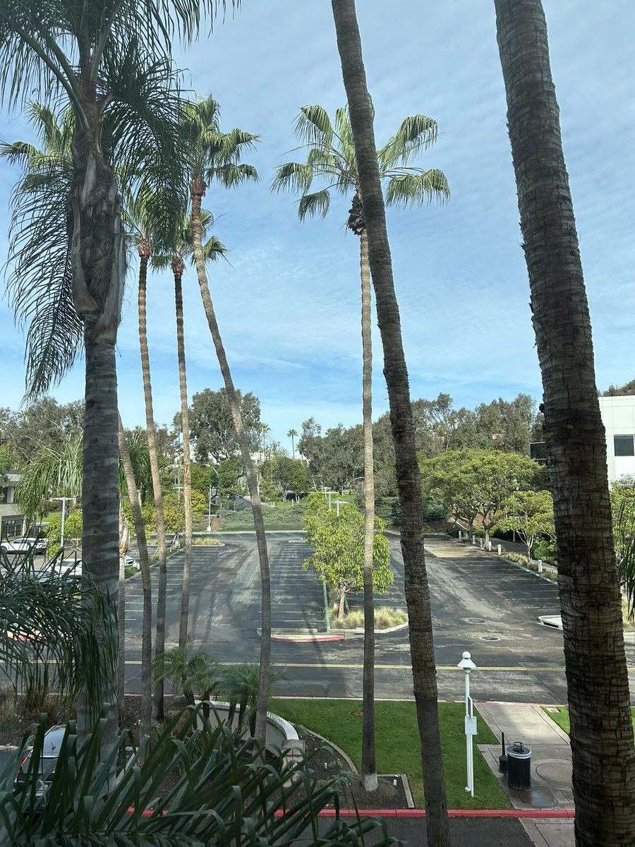 rainbow face! tweet media