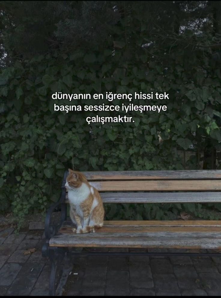 tamer aydın (@aydintamerr1) on Twitter photo 