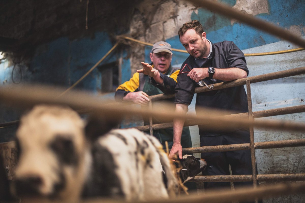 Danny Chambers MP 🔸🩺 tweet media