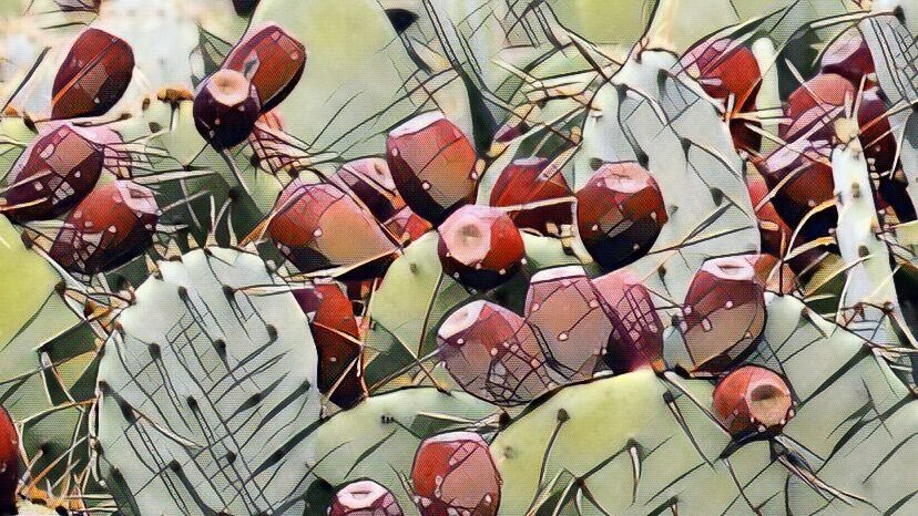 Hands Off that Pear - &amp; 23 other short stories KINDLE SPECIAL SAT-MON Jan 3-5 amazon.com/dp/B087PT86RL #shortstories #kindle