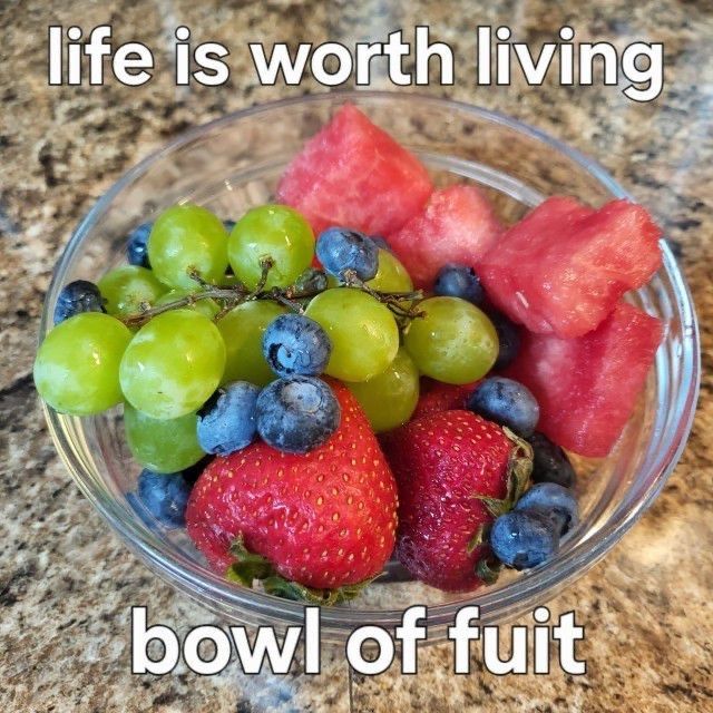 horse dentist (@equine__dentist) on Twitter photo 