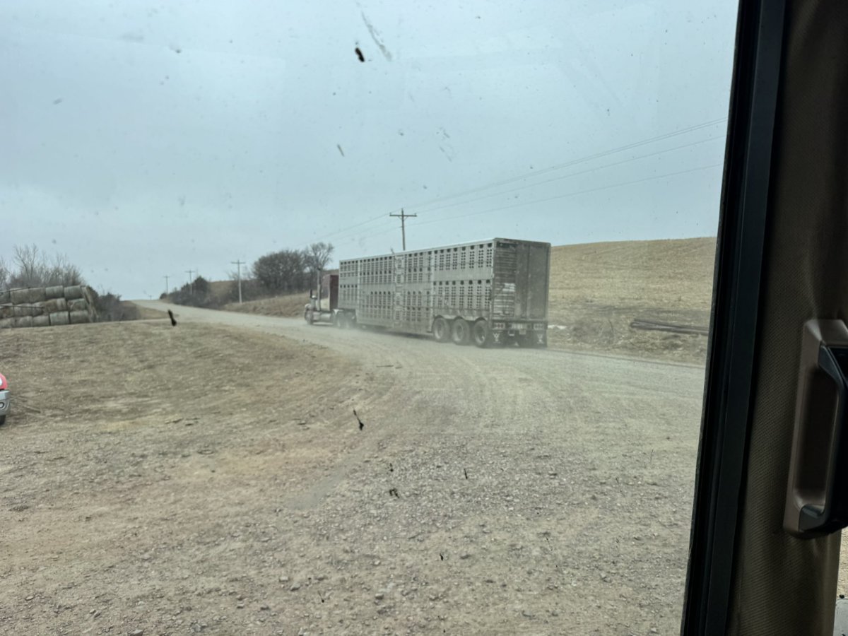 Scheduled these about an hour ago….