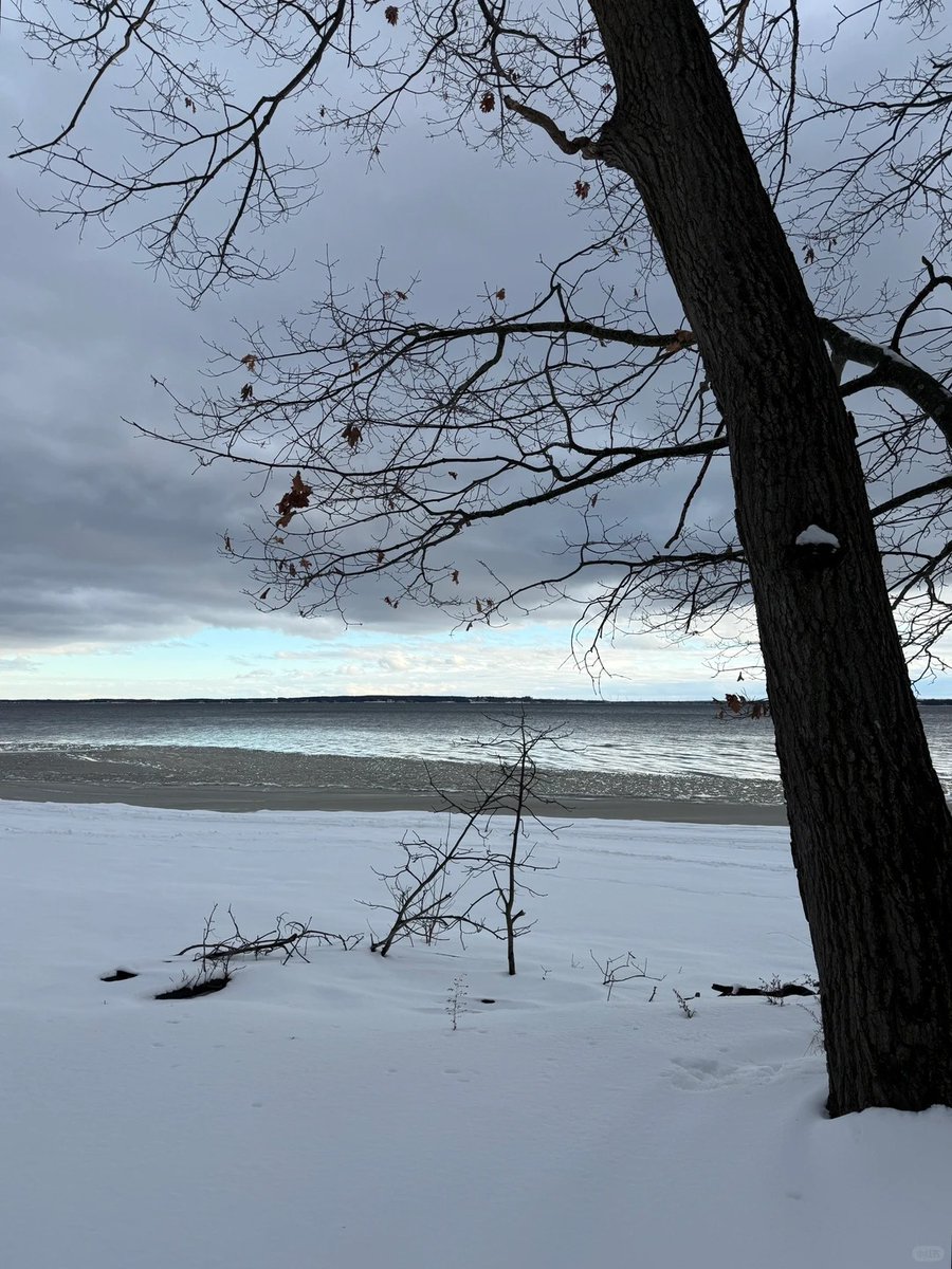 halisumar's tweet image. 🌨️🤍 Walking through winter, letting the snow tell its own story. Canada, you are cold,  but breathtakingly beautiful.❄️🍁