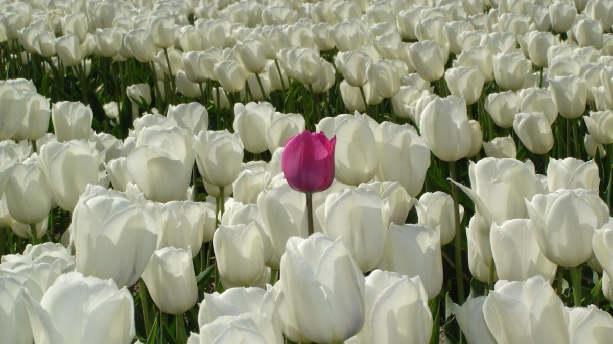 ASK KUWAIT (@askaboutkwt) on Twitter photo 