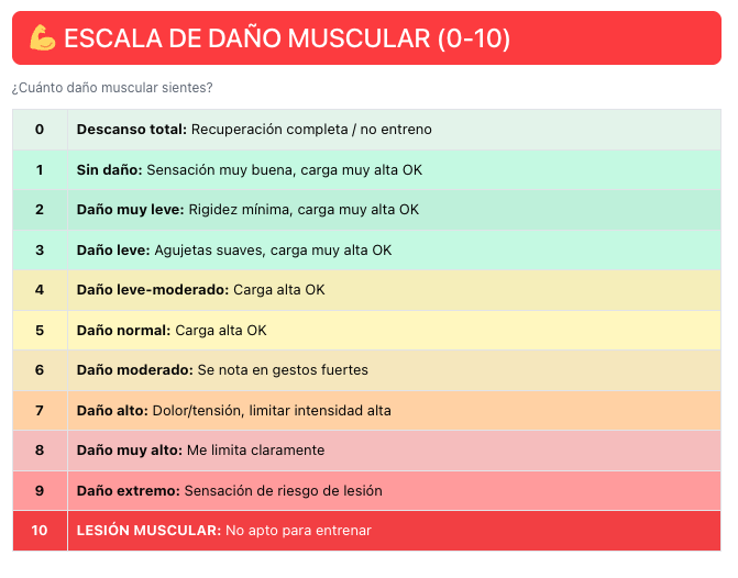 toplidercoach's tweet photo. 🧠 Controla el estado real de tus jugadores, no entrenes a ciegas.

En el Hub/planificador de toplidercoach ya puedes usar escalas de Wellness y Daño Muscular para ajustar cargas, prevenir lesiones y tomar mejores decisiones cada día.

👉 https://t.co/211akgVwoZ https://t.co/QS5hx8zr9S