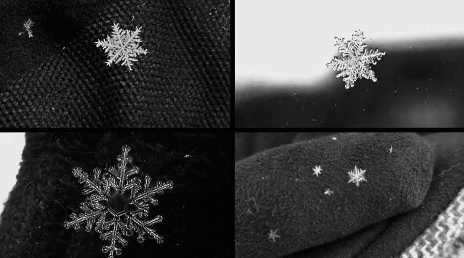 ttugcecf's tweet photo. Kar tanelerine her zaman hayran kalacağım ❄️ https://t.co/hlYVKDI4lW