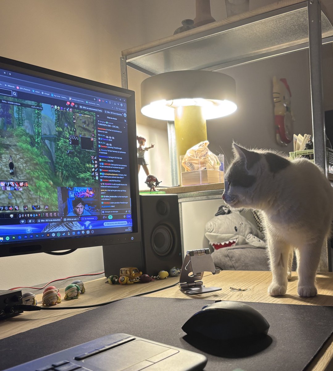 Obligé de lui apprendre les bases des son arrivée