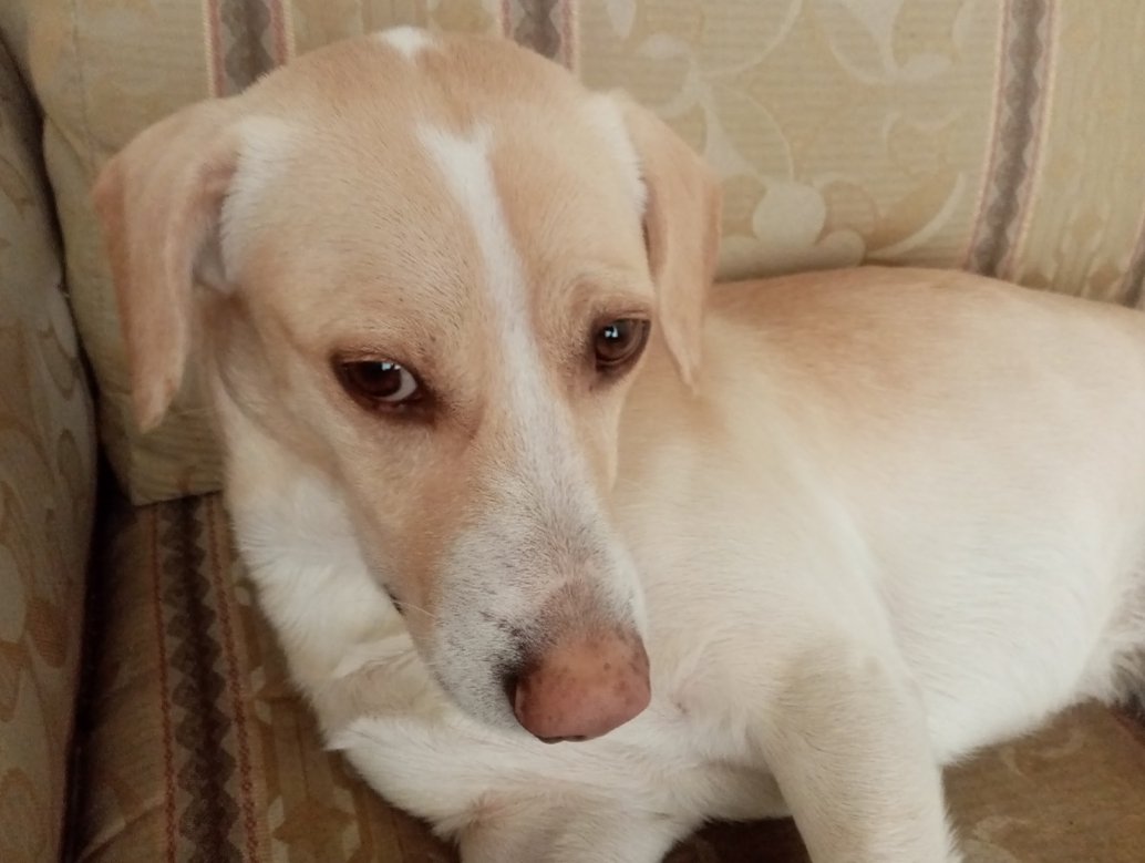 Andres M Novelo Mena tweet media